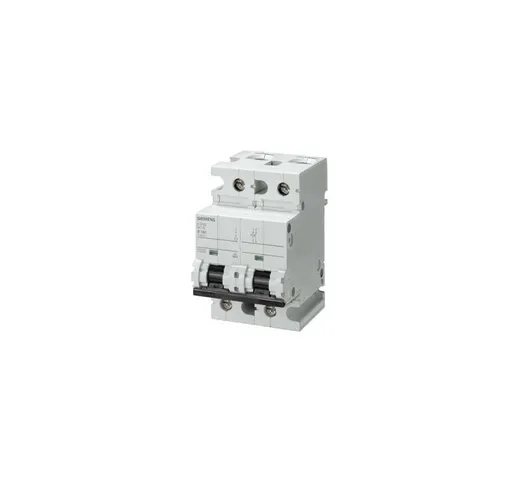  - Interruttore Automatico miniaturizzato 400 v 10kA, 2 poli, c, 80 a, D=70 mm – 5SP42807