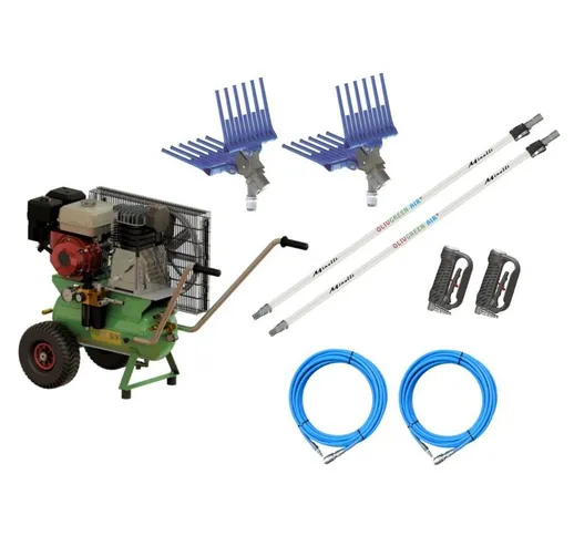 Kit raccolta olive per 2 operatori motocompressore con 2 abbacchiatori - Minelli