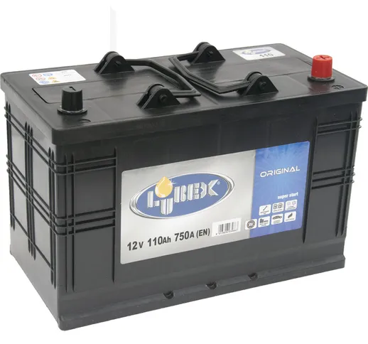 ORIGINAL 110 batteria per auto - ricambio - Lubex