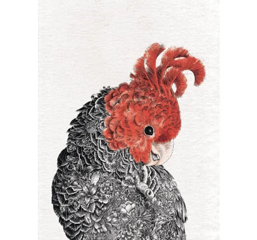 Maxwell & Williams Marini Ferlazzo Birds Kitchen Towel de Asciugamano da cucina con design...