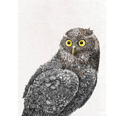 Maxwell & Williams Marini Ferlazzo Birds Kitchen Towel de Design de Australian Owl de 100%...
