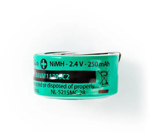Batteria ricaricabile Ni-MH | 2.40 V | NiMH | Batteria NiMH | Ricaricabile | 250 mAh | Pre...