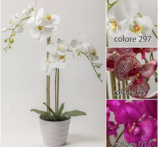 Orchidea in vaso x 2 CM.71 white