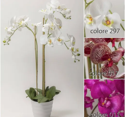 Orchidea in vaso x 3 CM.91 white