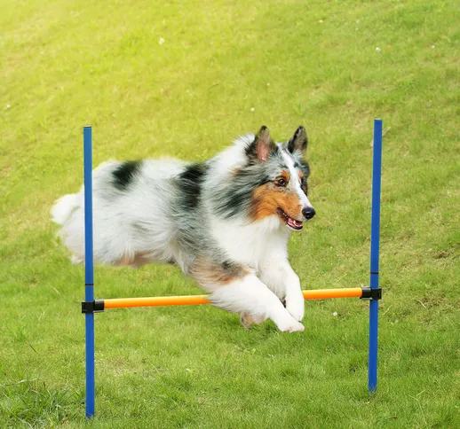 Outdoor Pet Dog Agility Sport Giochi Formazione Attrezzature Cani salto transenna Bar Obbe...