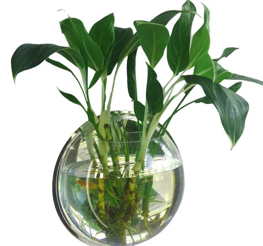 Happyshopping - Parete appeso serbatoio di pesce, vaso appeso a parete vaso fiore vaso fio...