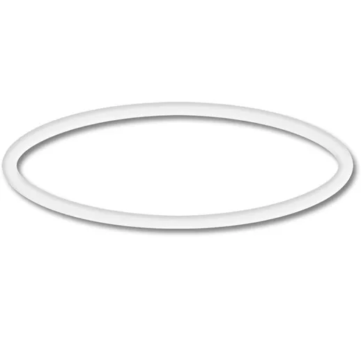 Pezzo di ricambio per Sunsun CPF-180/250 Guarnizione o-ring 30 x 2,4