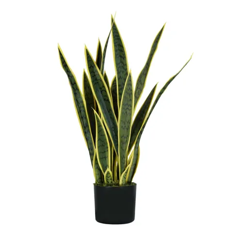 Pianta sansevieria h. 75 cm 21 foglie completa di vaso con muschio - King Home