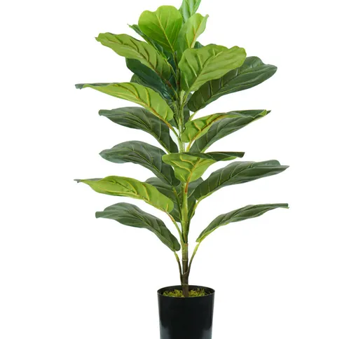 Pianta ficus lyrata h. 75 cm 21 foglie completa di vaso con muschio - King Home