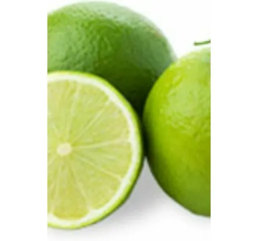Pianta di limone verdello cm 150 (foto reali) in fitocella
