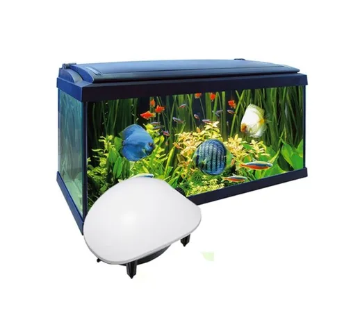 Pompa Aria Areatore Aeratore Per Da Acquario Pesci 2,9 L/M Esterna 2 W Ap-8803