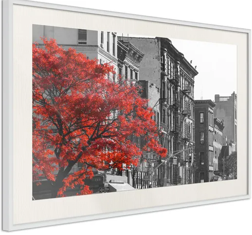 Poster - Autumn in New York [Poster] - 45x30