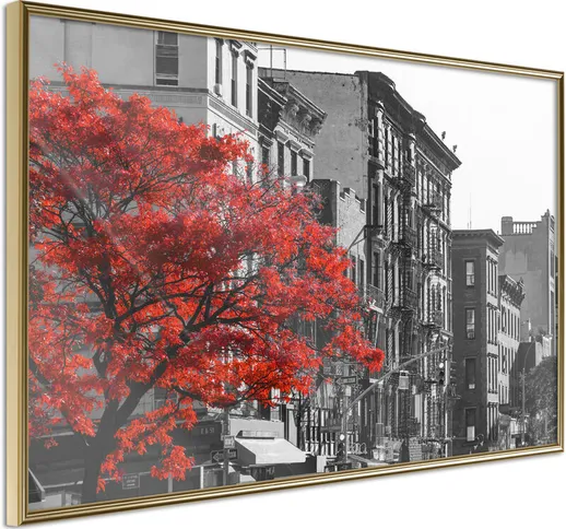 Poster - Autumn in New York [Poster] - 45x30