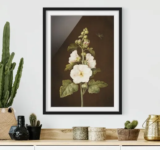 Poster con cornice - Barbara Regina Dietzsch - Hollyhock Dimensione H×L: 70cm x 50cm, Colo...