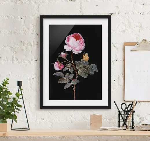 Poster con cornice - Barbara Regina Dietzsch - The Hundred-Rose Dimensione H×L: 70cm x 50c...