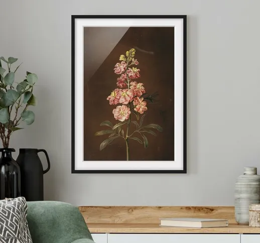 Poster con cornice - Barbara Regina Dietzsch - Un Pink Garden Levkkoje Dimensione H×L: 40c...