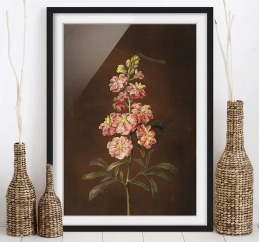 Poster con cornice - Barbara Regina Dietzsch - Un Pink Garden Levkkoje Dimensione H×L: 55c...