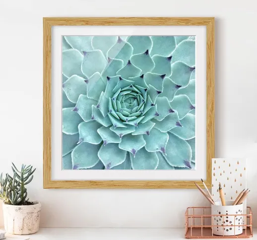 Poster con cornice - Cactus Agave Dimensione H×L: 50cm x 50cm, Colore cornice: Rovere