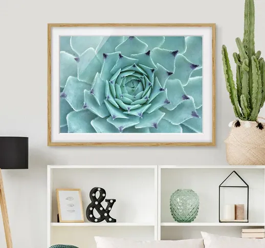 Poster con cornice - Cactus Agave Dimensione H×L: 40cm x 55cm, Colore cornice: Rovere