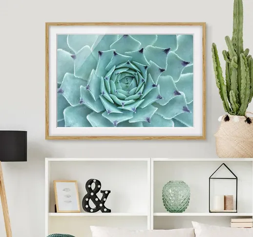Poster con cornice - Cactus Agave Dimensione H×L: 50cm x 70cm, Colore cornice: Rovere