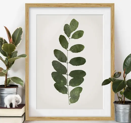 Poster con cornice - Mondo vegetale grafico - Verde scuro Dimensione H×L: 55cm x 40cm, Col...