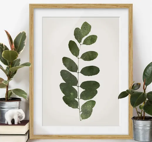 Poster con cornice - Mondo vegetale grafico - Verde scuro Dimensione H×L: 24cm x 18cm, Col...