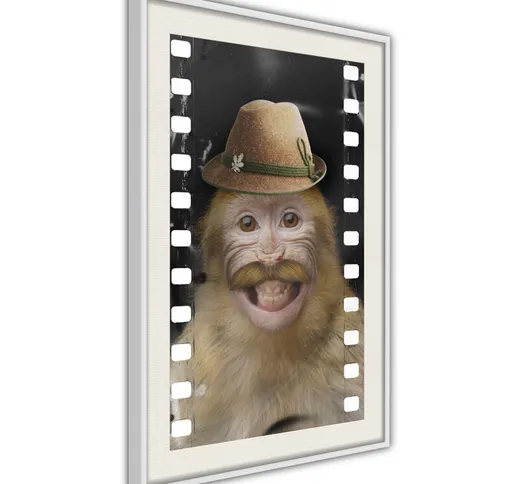 Poster - Monkey In Hat [Poster] - 30x45