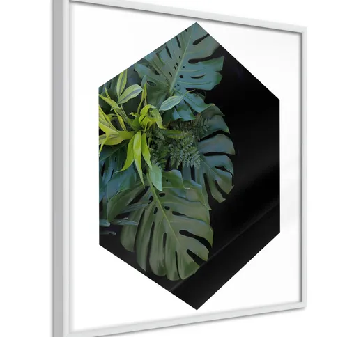 Poster - Plant Hexagon (Square) [Poster] - 50x50