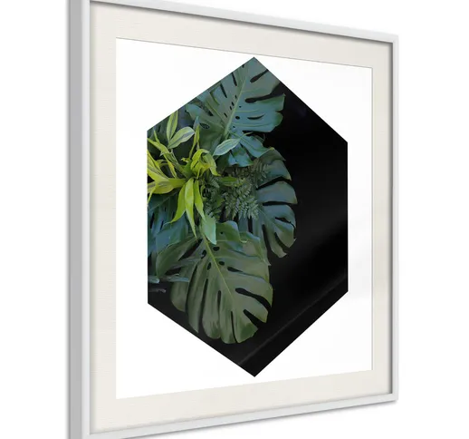 Poster - Plant Hexagon (Square) [Poster] - 50x50