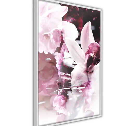 Poster - Sleepy Orchid [Poster] - 30x45