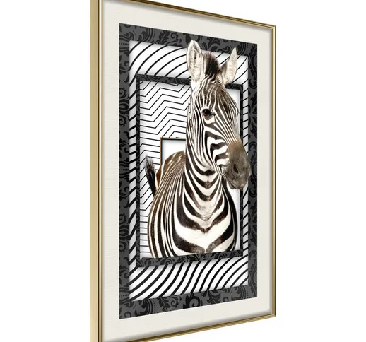 Poster - Zebra [Poster] - 30x45