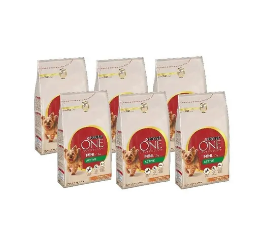 ONE MINI ACTIVE CROCCHETTE TAGLIA SMALL CON POLLO E RISO 6 PZ DA 1.5 KG - 