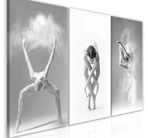 Quadro stampa su tela - Ballet (Collection) | 120x60