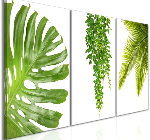 Quadro stampa su tela - Beautiful Palm Trees (3 Parts) | 120x60