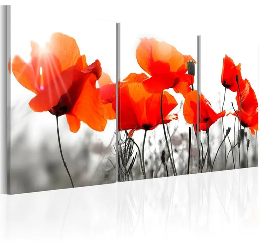 Quadro stampa su tela - Charming Poppies | 120x60