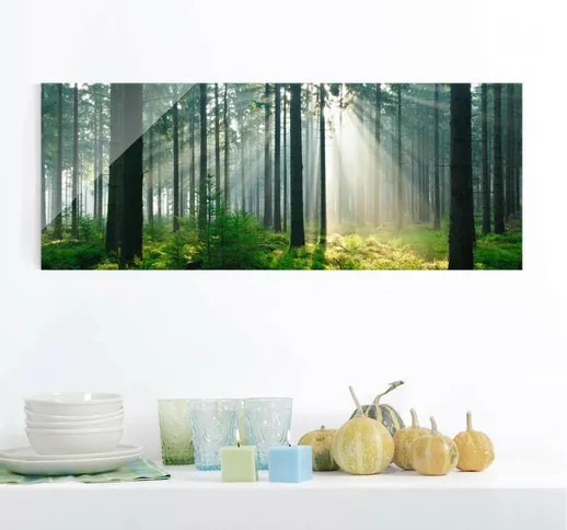 Quadro in vetro alberi - Foresta illuminata - Panoramico Dimensione H×L: 30cm x 80cm