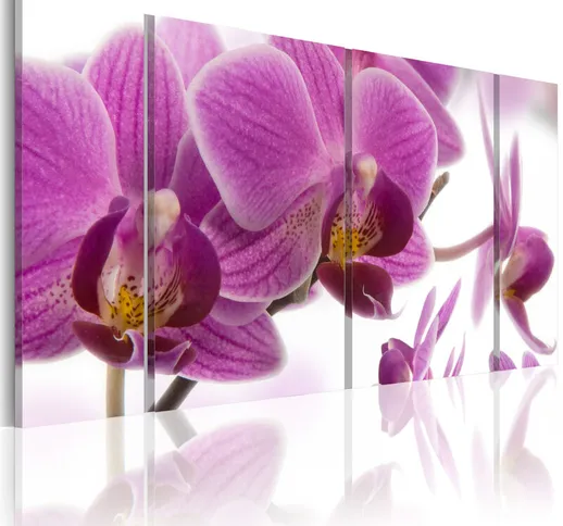 Quadro - Marvelous orchid - 120x60
