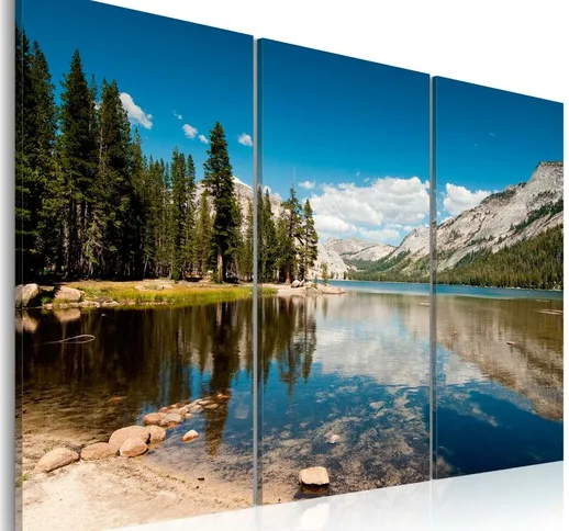 Quadro - Montagne, alberi e lago puro come il cristallo - 120x80