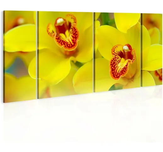 Quadro stampa su tela - Orchids - intensity of yellow color | 120x60