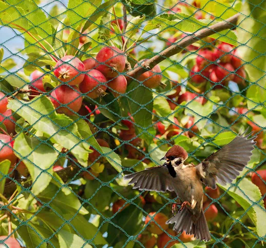 Rete da Giardino Rete Anti Uccelli Verde Rete di Protezione Proteggere Piante Frutta Fiori...