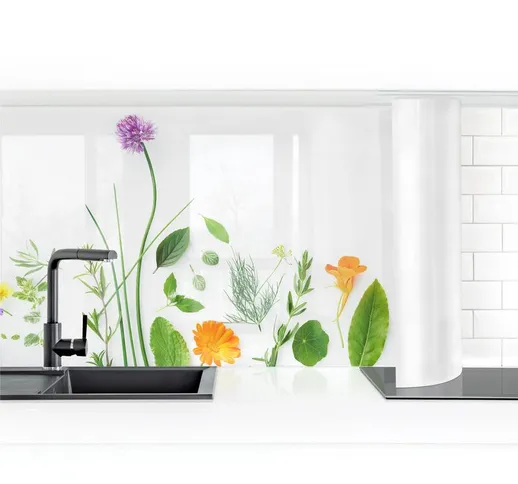 Rivestimento cucina - Herbs And Flowers I Dimensione H×L: 60cm x 300cm Materiale: Magnetic...