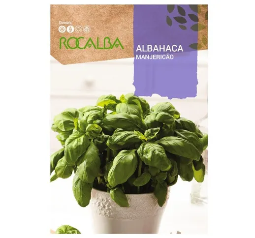 Albahaca (Basilic Grand Vert) 4G Seed Borse - Rocalba