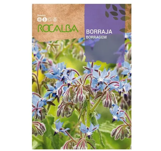 Borraja officinalis borse 4g semi - Rocalba