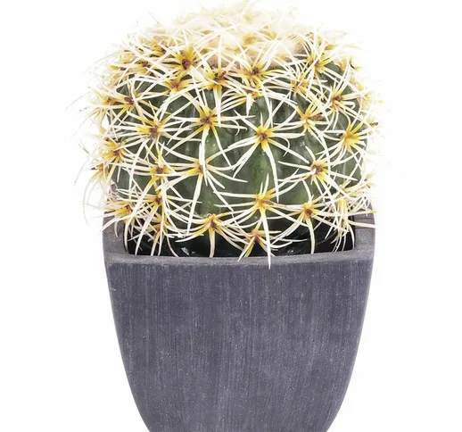 Set 2 Piante Artificiali Cactus con Vasi ø 14 cm