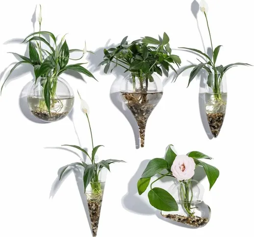 Set di 5 vasi da parete geometrici in vetro per piante acquatiche o fiori, supporto a pare...