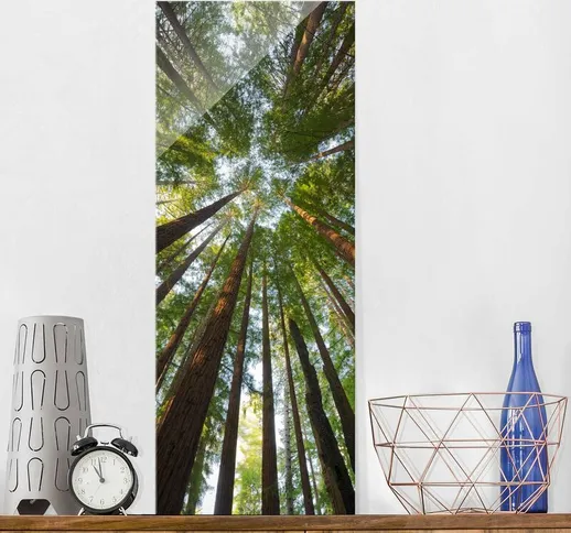 Stampa su vetro - Sequoia treetops - Pannello Dimensione H×L: 80cm x 30cm