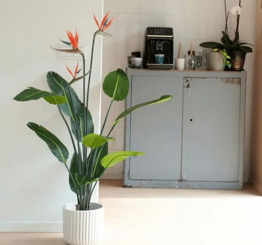 Strelitzia Pianta Artificiale in Vaso con Fiori 120 cm