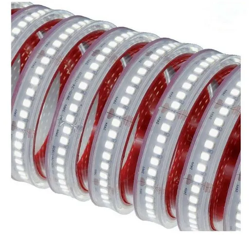 Striscia Strip led Nobile 35W 24V 2700K Bobina da 5 metri IP67 70052/90/2700K