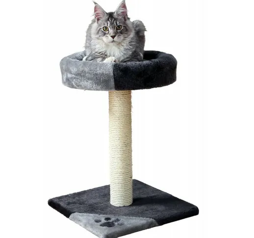 Gatto, taglia 35 per 35 cm, altezza 52 cm, Tarifa, colore nero e grigio.