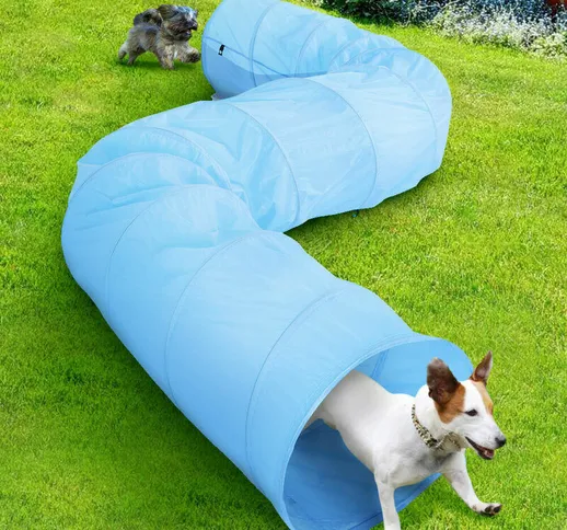 Bakaji - Tunnel Gioco Addestramento Cani Gatti Animali 500x60cm Tessuto Azzurro con Borsa